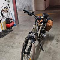 Bicicletta pedalata assistita