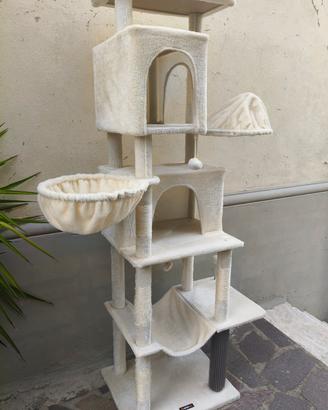 graffiolo per gatti 
