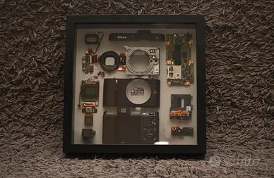 Quadro nikon v1
