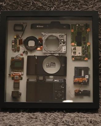 Quadro nikon v1