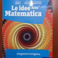 9788826820941 Le idee della matematica 