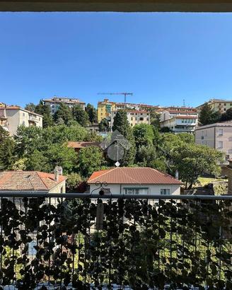 3 LOCALI A TRIESTE