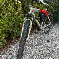 Mountain bike Bianchi