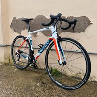 Willier sl team 56