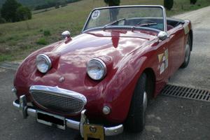 Austin-Healey Sprite MKI Frogeye - ASI + BMIHT
