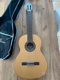 Chitarra Salvador  CS-244