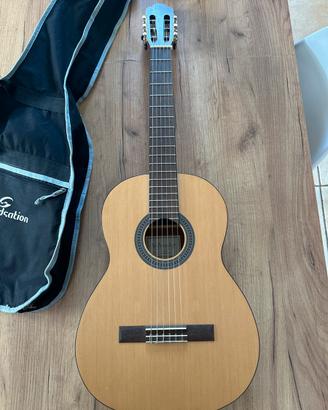 Chitarra Salvador  CS-244