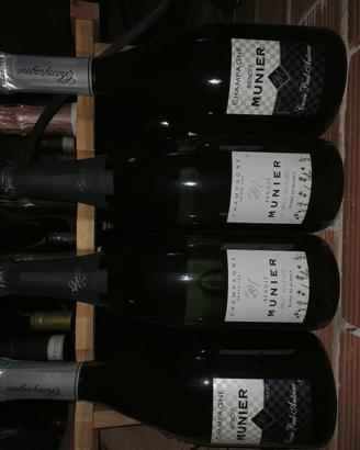 vini da collezione 