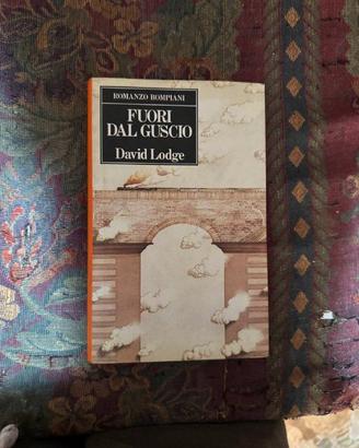 Fuori dal guscio – David Lodge, Bompiani.