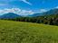 Immagine 10