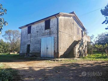 Rustico / Casale di 195 m² con 4 locali a Tuscania