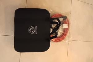 Caricabatterie PSA vetture elettriche 