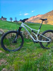 Specialized stumpjumper 