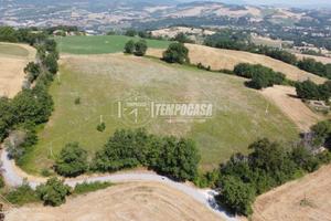 Terreno agricolo e boschivo di oltre 6,5 ettari