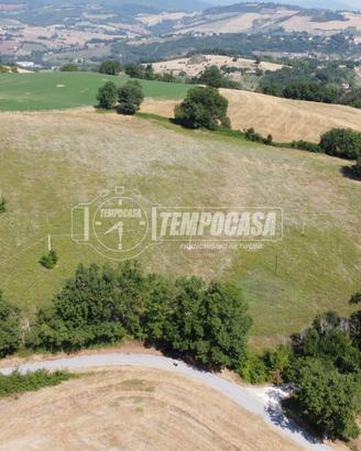 Terreno agricolo e boschivo di oltre 6,5 ettari