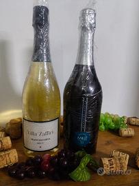 2 bottiglie di Franciacorta.