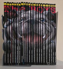 The boys, serie completa, versione da collezione