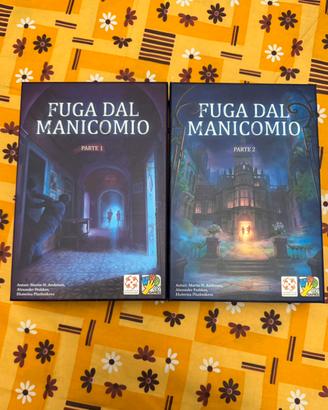 Fuga dal manicomio
