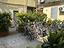 Immagine 10