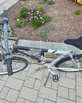 Bicicletta
