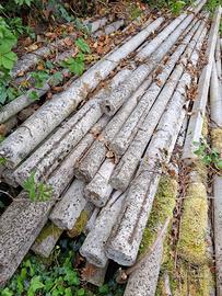 Pali in cemento - recinzioni - lavori agricoli