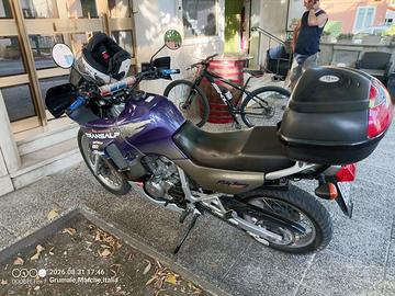 honda transalp 1998
