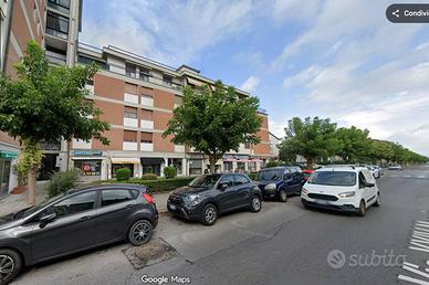 Locale commerciale - Pisa