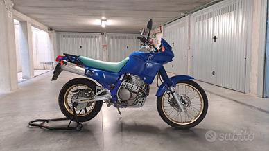 Dominator NX 650