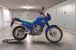 Dominator NX 650