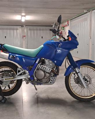Dominator NX 650