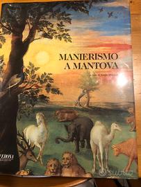 Pubblicazioni editoriali cariverona