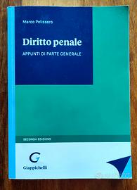 Libro Diritto Penale - Giappichelli