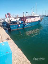 Barca a motore con licenza