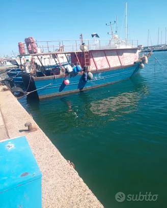 Barca a motore con licenza