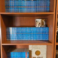 Manga one piece edizione blu