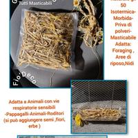 Giochi per pappagalli Masticabili Foraging