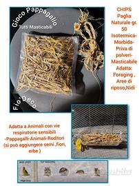 Giochi per pappagalli Masticabili Foraging