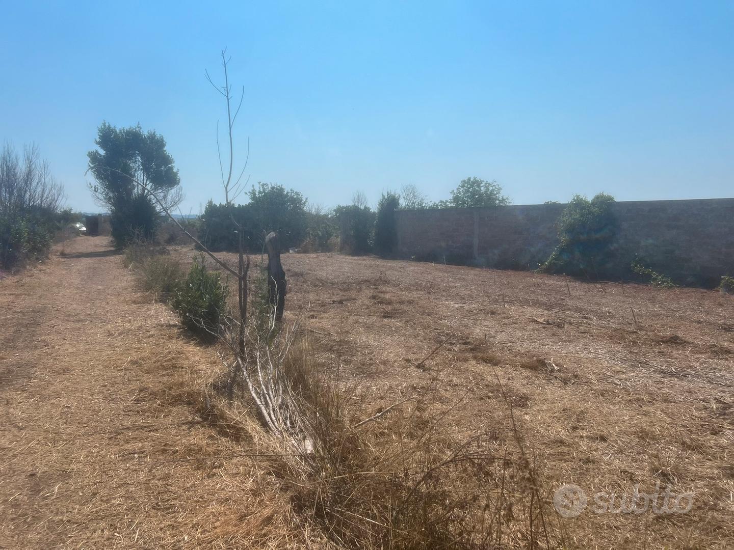 Terreno con rudere - Vista 2