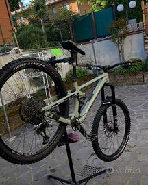 Transition sentinel 2023 alloy nx