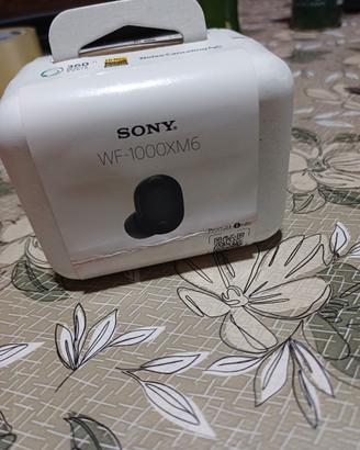 sony wf 1000xm6 