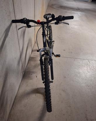 mountain bike
