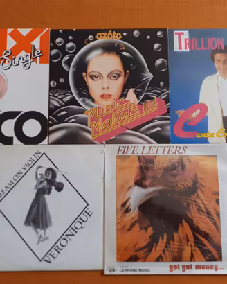 Lotto 14 vinili disco anni 80 collezione 1015