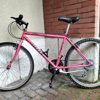 Mountain bike gieffe da 26 perfetta euro 50