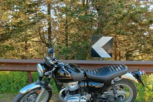 Kawasaki W800 2025