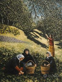Raccolta delle olive nell'imperiese. Stampa F. Art