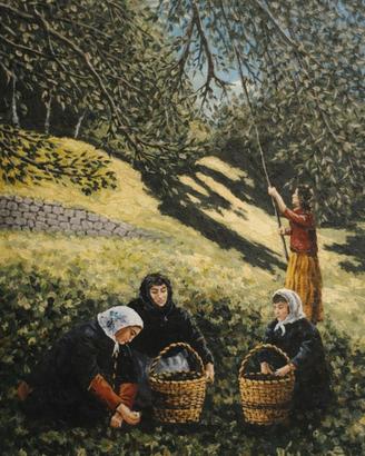 Raccolta delle olive nell'imperiese. Stampa F. Art