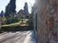 Immagine 25