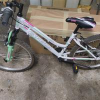 bicicletta esperia nuova