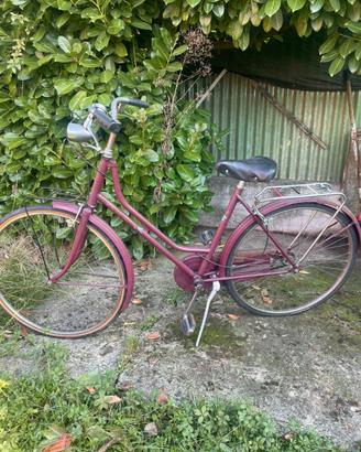 Bici modello holland