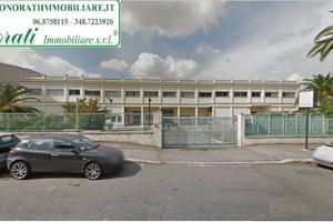 Terreno di mq 11.000 per edificare 7.000 mq Cod.TP
